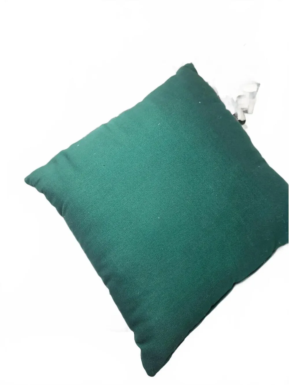 Michigan State Spartans Pillow and Wreath Lot